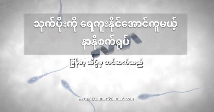 နာနိုနည်းပညာ အသုံးပြုထားတဲ့ စက်ရုပ်သေးသေး လေးတွေနဲ့ အမျိုးသား မြုံခြင်း ပြဿနာကို အကူအညီ ပေးနိုင်မှာ ဖြစ်ပါတယ်