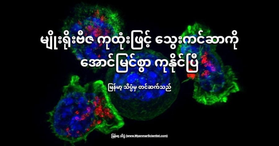 မျိုးရိုးဗီဇ ပြုပြင်ထားတဲ့ ကိုယ်ခံအား ဆဲလ်တွေနဲ့ ကုသခံရတဲ့ လူနာအချို့မှာ သွေးကင်ဆာ လုံးဝ ပျောက်ကင်းသွားကြောင်း ဆေးပညာ ရှင်များက ကြေငြာလိုက်ပါတယ်